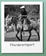 Pferdereitsport