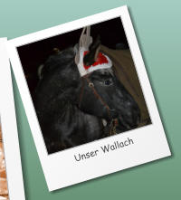 Unser Wallach © A. & N. Käutner