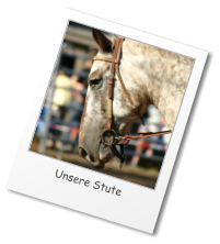 Unsere Stute © A. & N. Käutner