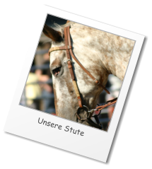 Unsere Stute © A. & N. Käutner
