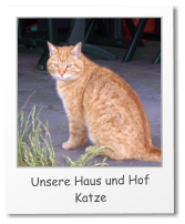 Spidi © A. & N. Käutner