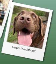 Balu © A. & N. Käutner